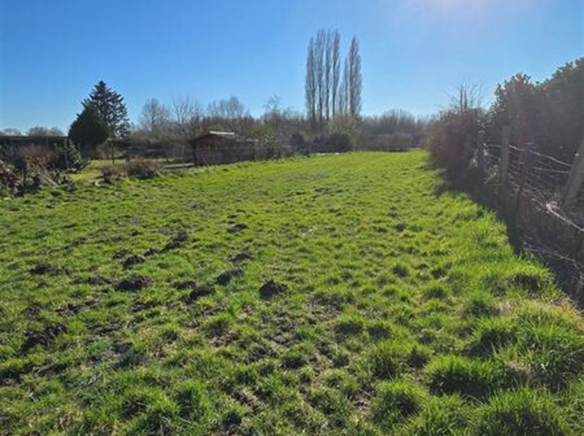 REF: 7316 - rue des Herbières - 7300 Boussu&lt;br /&gt;
À vendre : Superbe terrain à bâtir à Boussu !&lt;br /&gt;
Découvrez ce magnifique terrain de 17 ares 83 ce