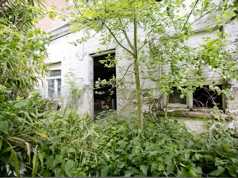 TE RENOVEREN/SLOPEN WONING -  &lt;br /&gt;
 &lt;br /&gt;
Gelegen op een perceel van 8 are 86 centiare, vindt u dit woonhuis met bijhorende aanhorigheden in de Pol
