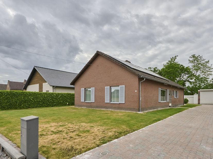 Maison à vendre
                    à 3990 Wijchmaal