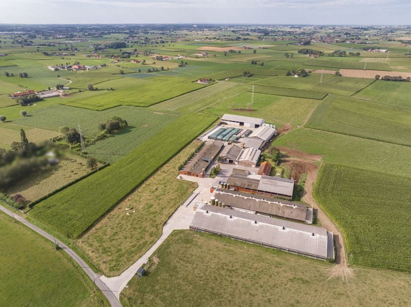 Maison à vendre
                    à 8980 Geluveld