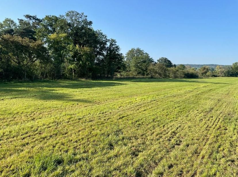 Hotton (Melreux): AVIS AUX INVESTISSEURS OU PROMOTEURS! ISIMMO a le plaisir de vous proposer cette belle parcelle de 16ha26a offrant une vue splendide