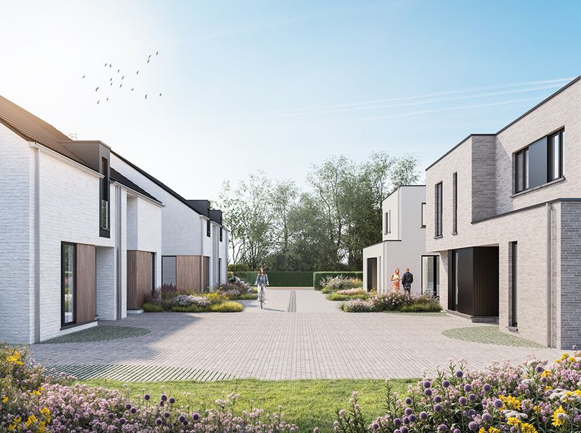 Maison à vendre
                    à 8720 Dentergem