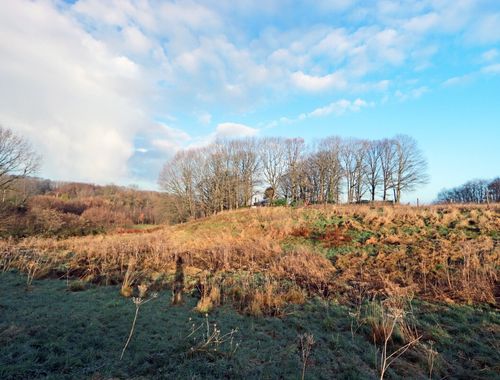                                         Terrain agricole à vendre à Tielt, € 39.000
