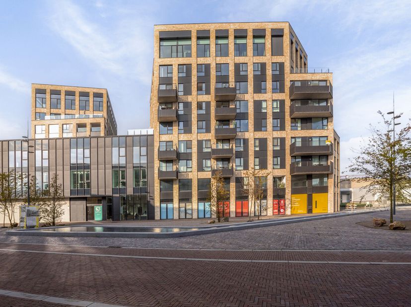 Bien professionnel à vendre
                    à 8630 Veurne