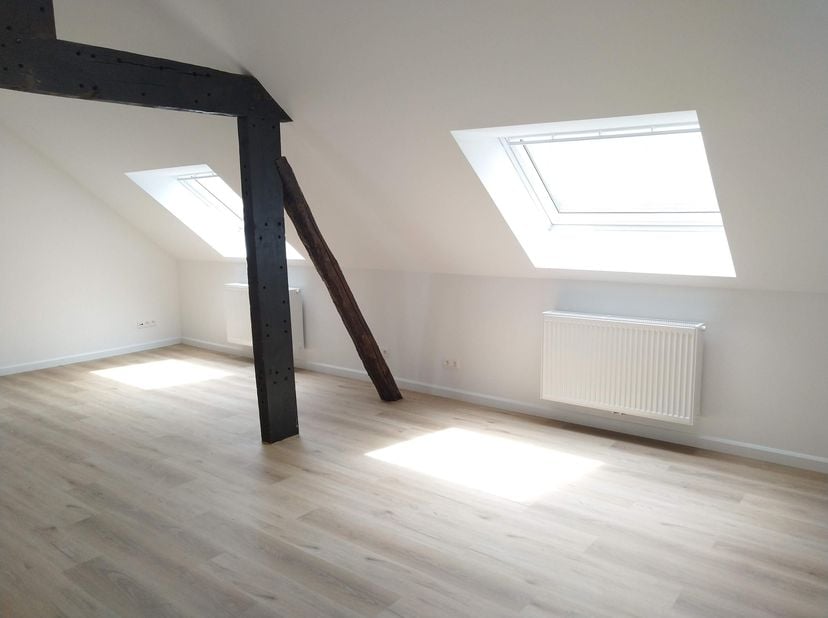 Prachtig volledig gerenoveerd landhuis te huur op prachtige locatie, met prachtige grote tuin en mogelijkheid voor het houden van dieren (weide en sta