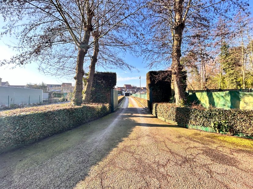 Wervik : Propriété commerciale avec vitrine spacieuse + résidence à 100m du marché avec garage et sortie.Aménagement : Rez-de-chaussée : propriété com
