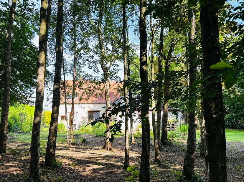 Op zoek naar je eigen stukje paradijs in het pittoreske Deurle? In een rustige, groene straat waar de natuur de baas is, ligt een mooie bouwgrond op j