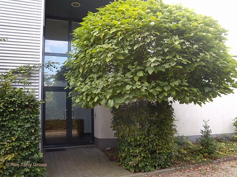 Industriehal- KMO-unit te huur. &lt;br /&gt;
Dit multifunctionele bedrijfspand draagt bij aan de uitstraling van uw bedrijf!  &lt;br /&gt;
&lt;br /&gt;
Industriehal (me
