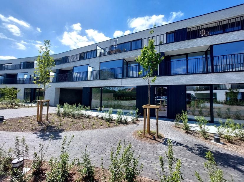 Appartement à louer
                    à 8710 Wielsbeke