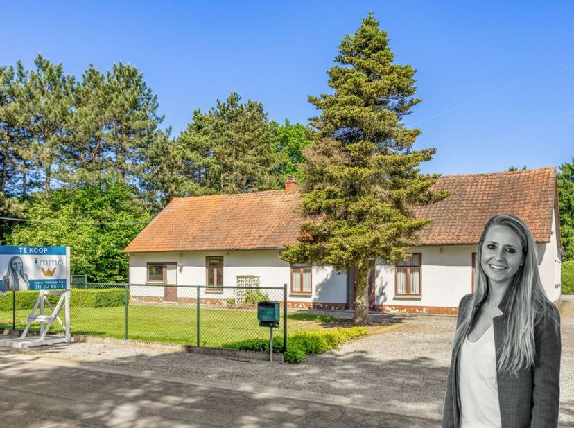 UNIEKE PERCELEN OP UITZONDERLIJKE LIGGING TE KOERSEL.&lt;br /&gt;
&lt;br /&gt;
Deze unieke eigendom ligt in een bijzonder rustige straat, omgeven door groen en me