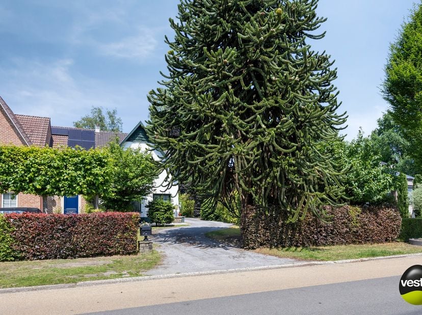 Gezinsvriendelijke halfopen woning met ruime tuin en losstaande garage in gewilde buurt van Kiewit – Hasselt&lt;br /&gt;
&lt;br /&gt;
Welkom op Schrijbroekstraat