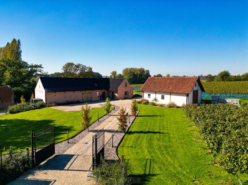 Vous rêvez de calme, d&#039;espace et de vie rurale, mais avec tout le confort moderne ? Cette villa unique de style ferme avec vignoble attenant, située s