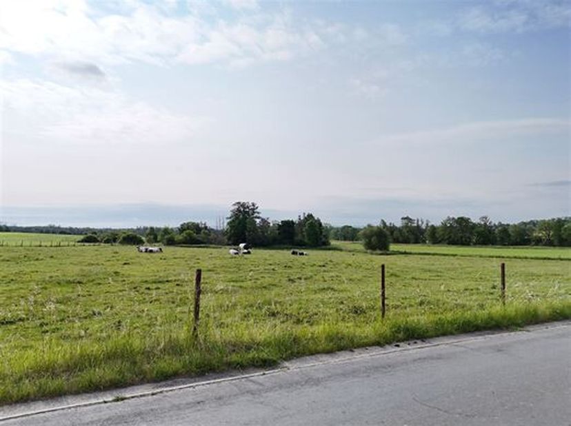 Très beau terrain à létat de prairie, de relief plat, sis à une voirie asphaltée. Contenance: 1 ha 74 a 60 ca.&lt;br /&gt;
Environnement calme.&lt;br /&gt;
Ce ter