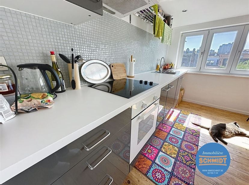 IMMOSCHMIDT (Réf.16230) - Etterbeek (Thieffry / Roi Vainqueur): Mooi appartement van 50m² met een hal, een woonkamer, een eetkamer, een slaapkamer, ee