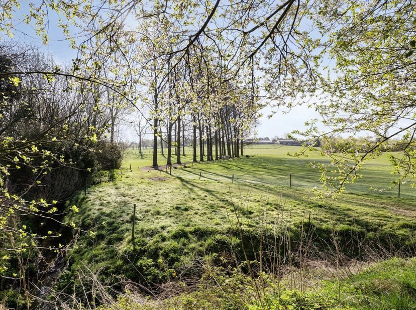 Immo Pické biedt U deze uitzonderlijke grond aan met daarop een afgebrande woning toegankelijk via een privatieve oprijlaan. Deze eigendom dient volle