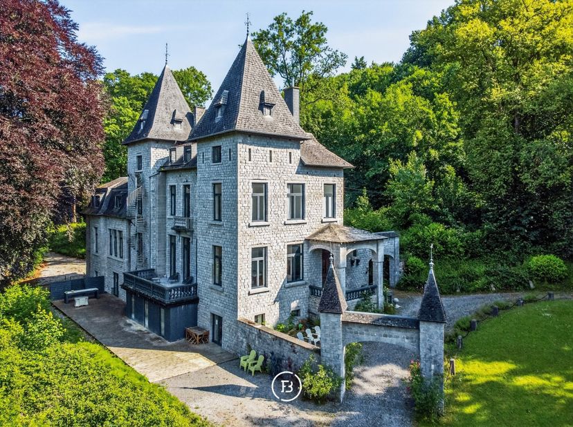 Dans un environnement vert exceptionnel de 2,4 hectares, avec une vue panoramique sur la vallée de la Meuse, se niche ce château de caractère datant d