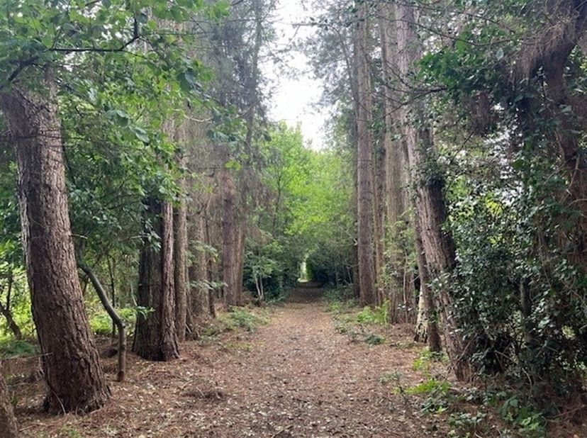 Prachtig stuk natuur aan de wandeldijk rond het fort van Duffel.&lt;br /&gt;
Dit mooi stuk grond is gelegen aan de wandeldijk rond het fort van Duffel. Met