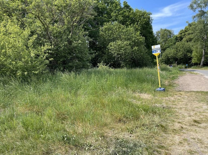 Terrain à vendre
                    à 3920 Lommel