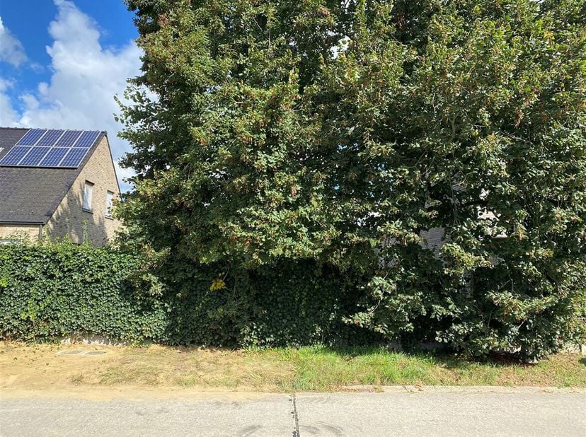 Terrain à vendre
                    à 2260 Westerlo