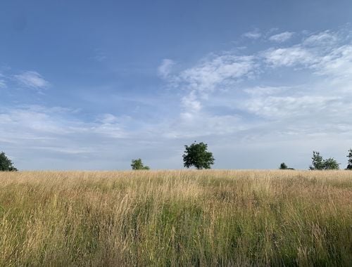                                         Terrain à bâtir à vendre à Grez-Doiceau, € 425.000
