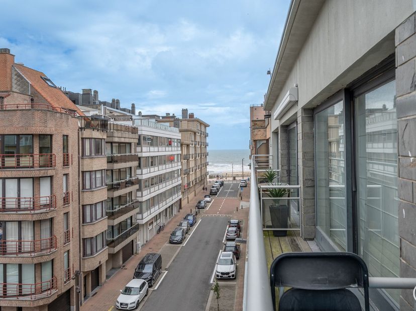 Zuidgerichte studio met zijdelings zeezicht op 50m wandelafstand van de zeedijk Albertstrand &amp; Lippenslaan.&lt;br /&gt;
Indeling: inkomhall, badkamer, toile
