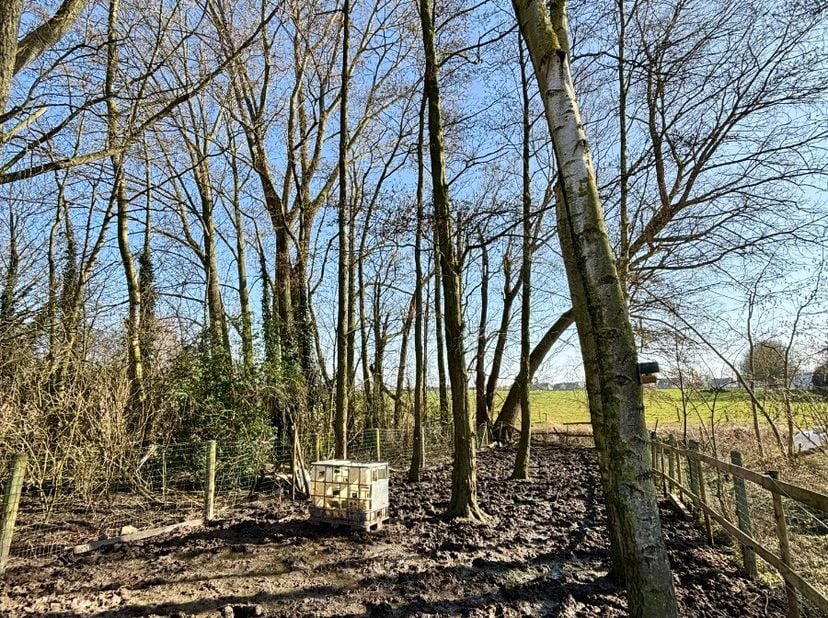 Maison spacieuse avec 4 chambres à vendre.Cette maison avec grand jardin dans une impasse à Wervicq est aussi emplacé dans la campagne. La maison poss