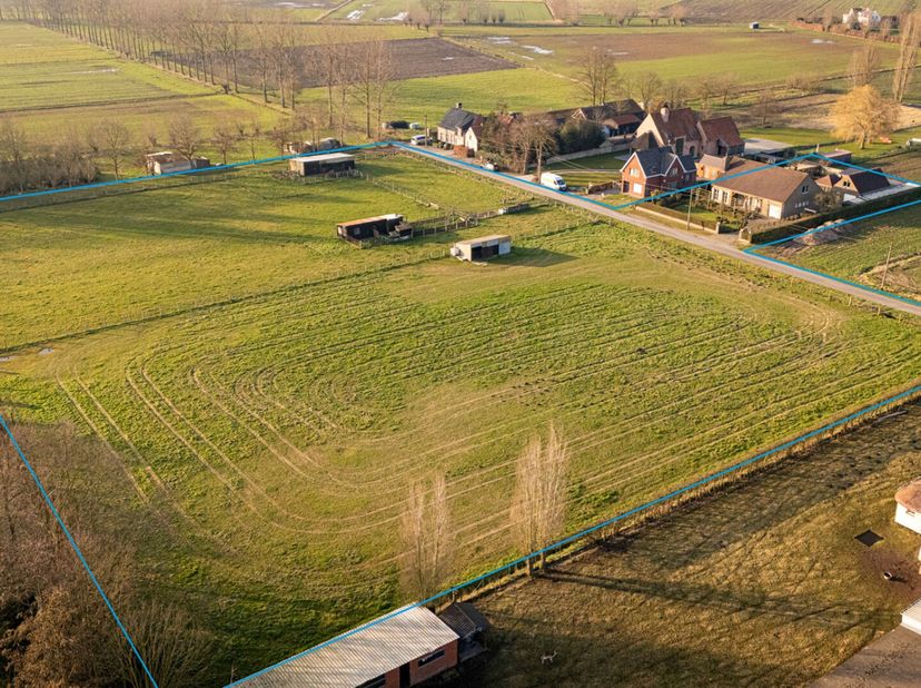 Maison à vendre
                    à 9990 Maldegem