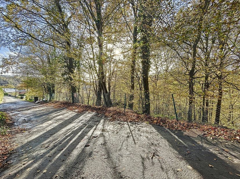 Découvrez ce terrain virtuellement -&amp;gt; https://bitly.ws/ZWw2 - Dans une voie sans issue du petit village paisible et verdoyant de Fraiture (commune