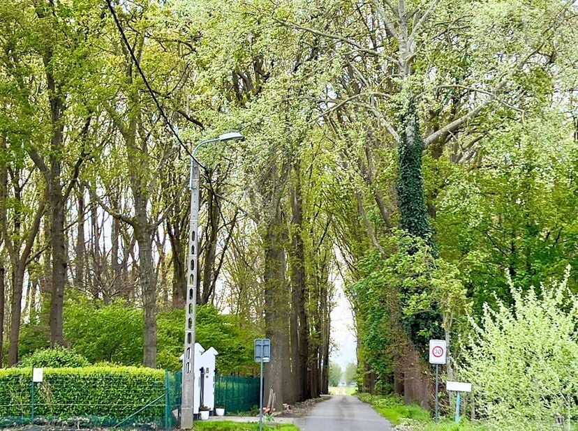In het prachtige Koekelare ligt een uitzonderlijk bouwgrond van maar liefst 7563m². Deze ruime locatie biedt eindeloze mogelijkheden voor wie op zoek