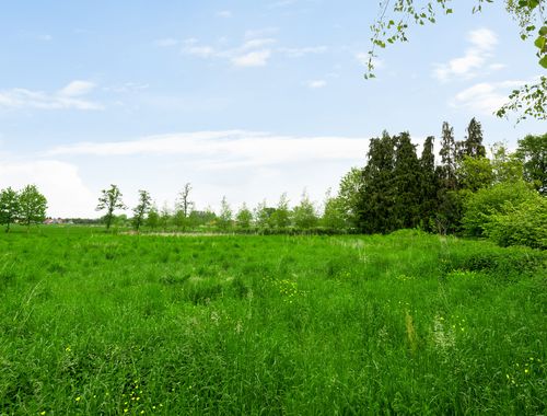                                         Terrain agricole à vendre à Dessel, € 20.000
