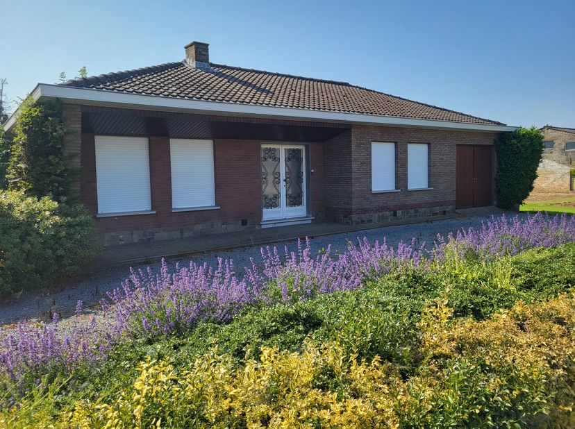 Maison à louer
                    à 9850 Landegem