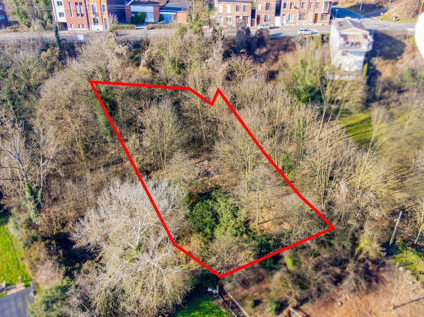 Terrain de 1312 m² idéalement situé à VIVEGNIS, proche de toutes commodités.&lt;br /&gt;
Le terrain actuellement boisé se situe en zone d&#039;habitat et pourrai