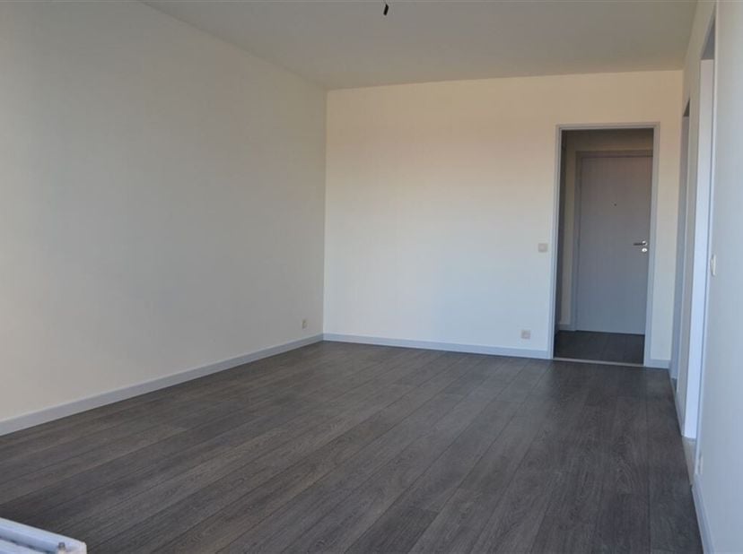 Bel appartement confortable, entièrement rénové (46 m2) au 8ème étage. &lt;br /&gt;
Entrée avec penderie, salon, chambre à coucher qui s&#039;ouvre sur une belle