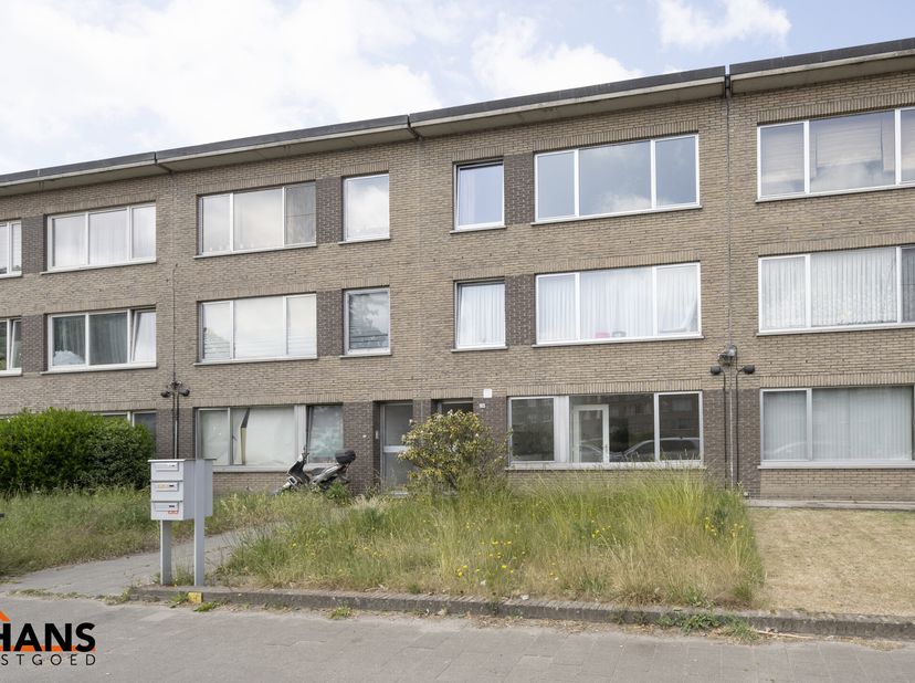 Appartement à louer
                    à 2150 Borsbeek