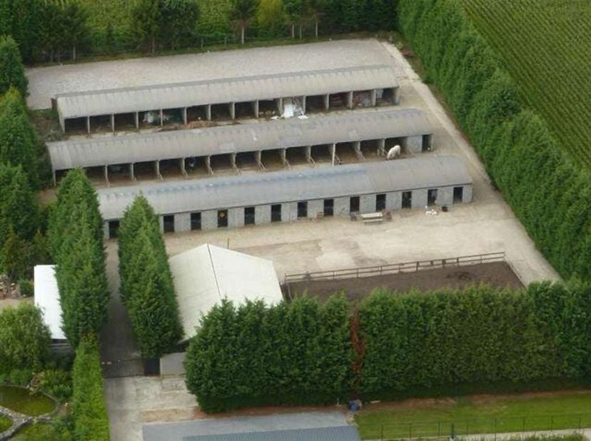 Terrain à vendre
                    à 3560 Linkhout