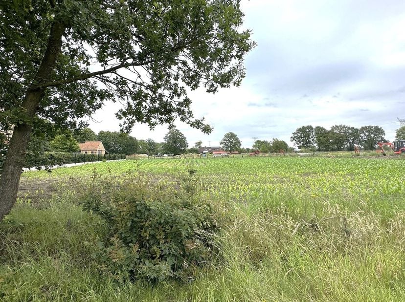 Zeer rustig en residentieel gelegen bouwperceel van 10 A 50 CA (LOT 2 op het verkavelingsplan) voor open bebouwing in een rustige straat in het landel