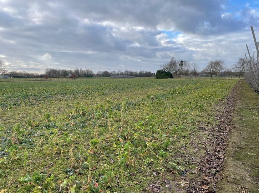 Terrain à vendre
                    à 3540 Herk-de-Stad