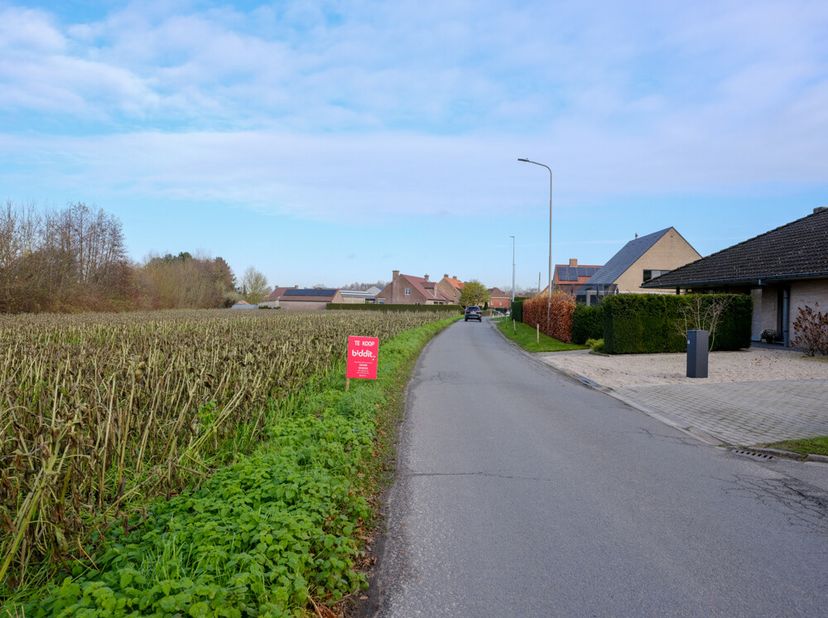 KOOP 1: RUIM PERCEEL LANDBOUWGROND -  &lt;br /&gt;
 &lt;br /&gt;
Dentergem, 3e afd. Oeselgem, sectie B nr 0091EP0000, ruim perceel landbouw gr., vrij van pacht, a