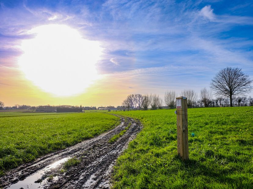 Terrain à vendre
                    à 8980 Geluveld