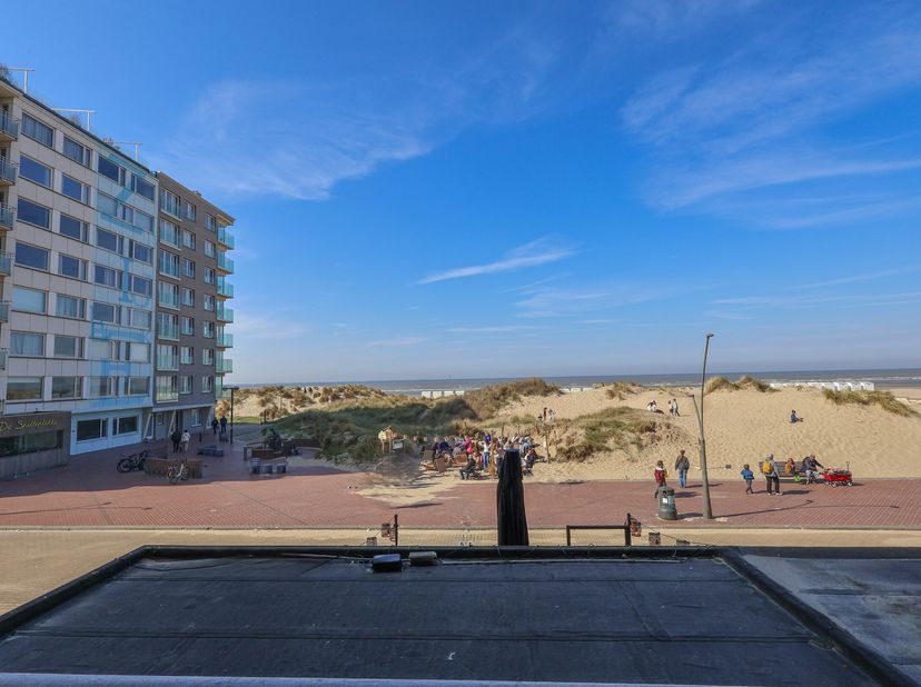 Te huur op jaarbasis: modern en verzorgd appartement gelegen op de eerste verdieping van residentie Alexine.&lt;br /&gt;
Dit luxueuze appartement beschikt o