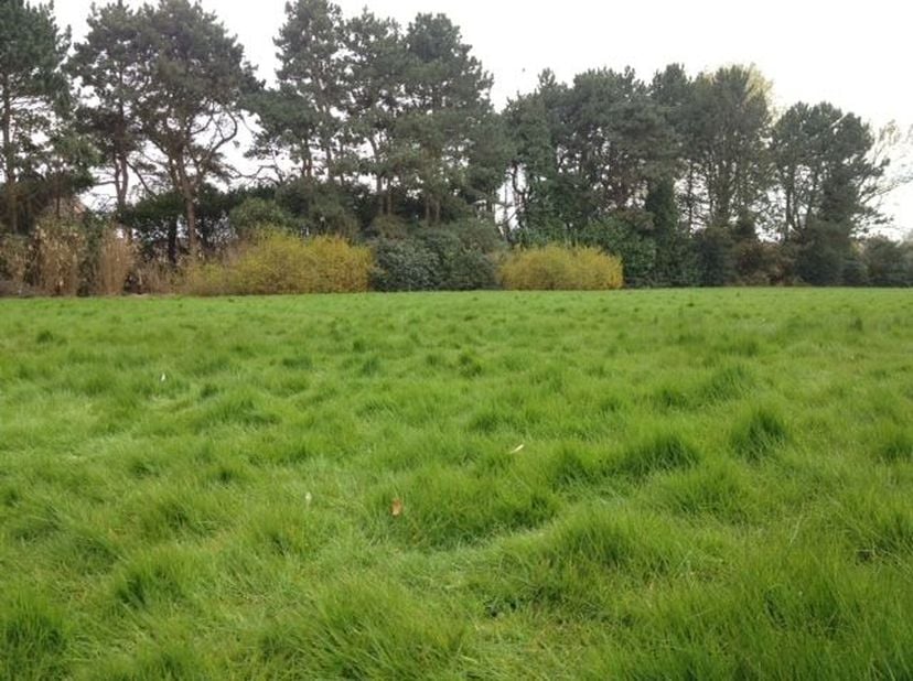 Je dacht dat alle mooie Roeselaarse bouwgronden reeds bebouwd zijn? Fout. Deze nieuwe verkaveling met elf residentiële percelen ligt op een absolute t