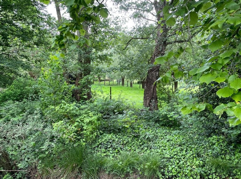 Terrain à vendre
                    à 9070 Heusden