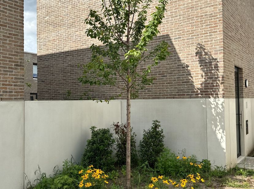 Huis te koop
                    in 2018 Antwerpen