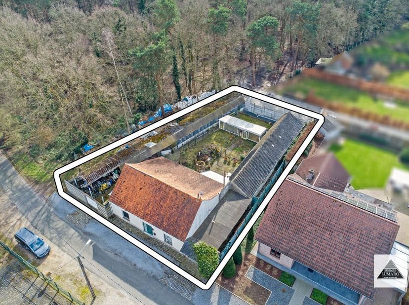 Maison à vendre
                    à 3680 Maaseik