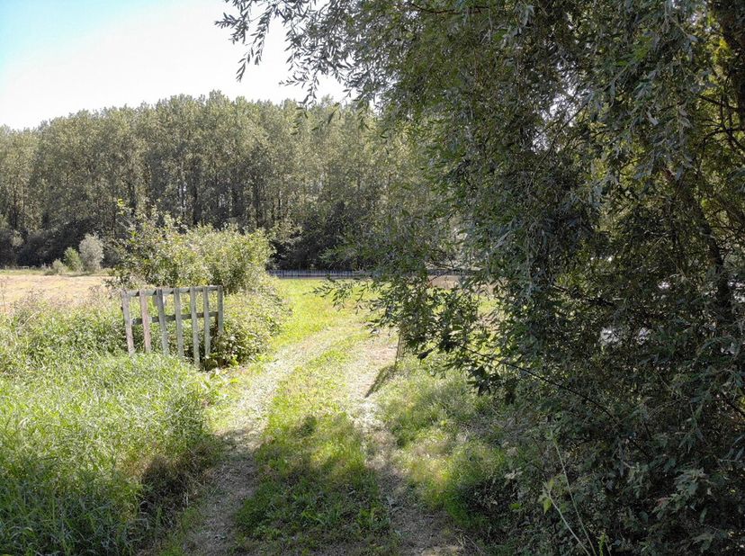 Ref- 811 - 59158 - Flisnes-Les-Mortagne (nord-France)Situé au bord de la Calonne un Havre de paix sur 90 ares composé de: -  Etang de pêche dont les b