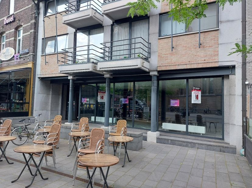Bien professionnel à vendre
                    à 3910 Neerpelt