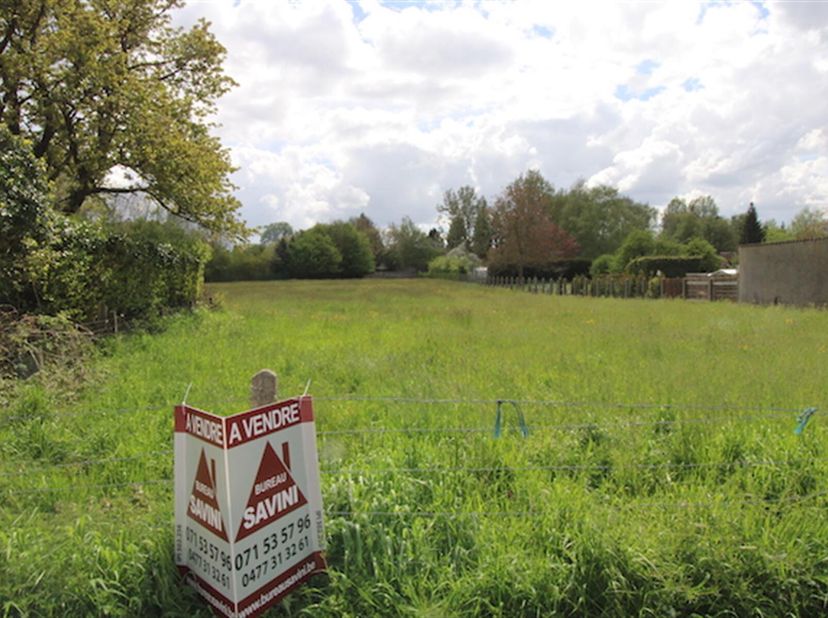 Anderlues : à vendre très beau terrain de 53 ares 98 centiares avec projet déjà accepté. Terrain plat de 19,77m de façade sur 67,50m de profondeur.&lt;br
