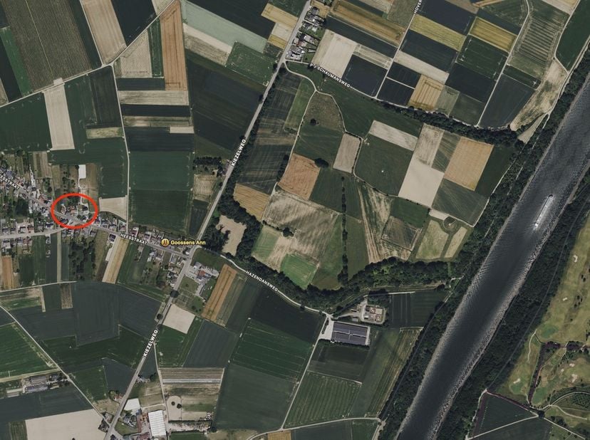 Verrassend royale woning met bijbouw en paardenweide, rustig en landelijk gelegen te Bilzen-Hees, op de grens met Veldwezelt. Unieke rustige ligging o