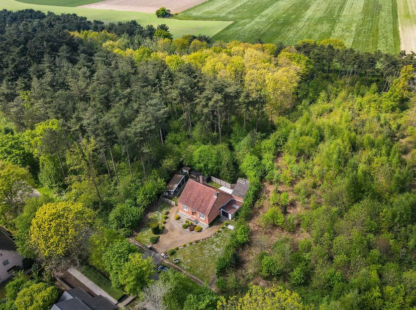 Maison à vendre
                    à 8490 Varsenare