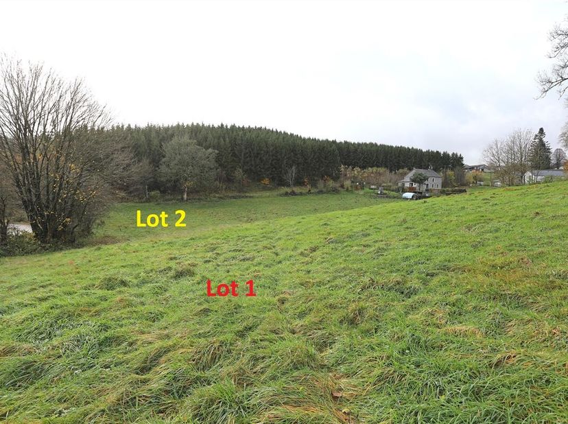 Terrain en zone d&#039;habitat d&#039;une superficie de 1820 m², lot 1, situé à la sortie du village de Noirefontaine, commune de Bouillon-sur-Semois.&lt;br /&gt;
Eau